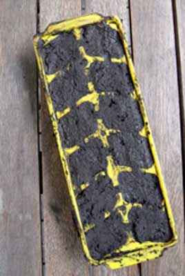 Educating CHildren|Preschool|Science|Homes|Bricks