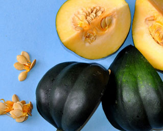 Educating CHildren|Preschool}Kitchen|Language|Squish Squash