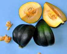 Educating CHildren|Preschool}Kitchen|Language|Squish Squash