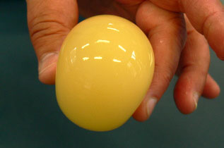 Educating CHildren|Preschool}Kitchen|Science|Bouncing Egg