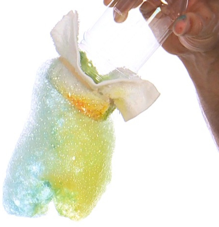 Educating CHildren|Preschool|Art|pesach|Snake Bubbles