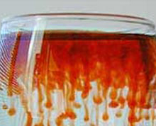 Educating CHildren|Preschool|Science|pesach|Floating Coloured Water